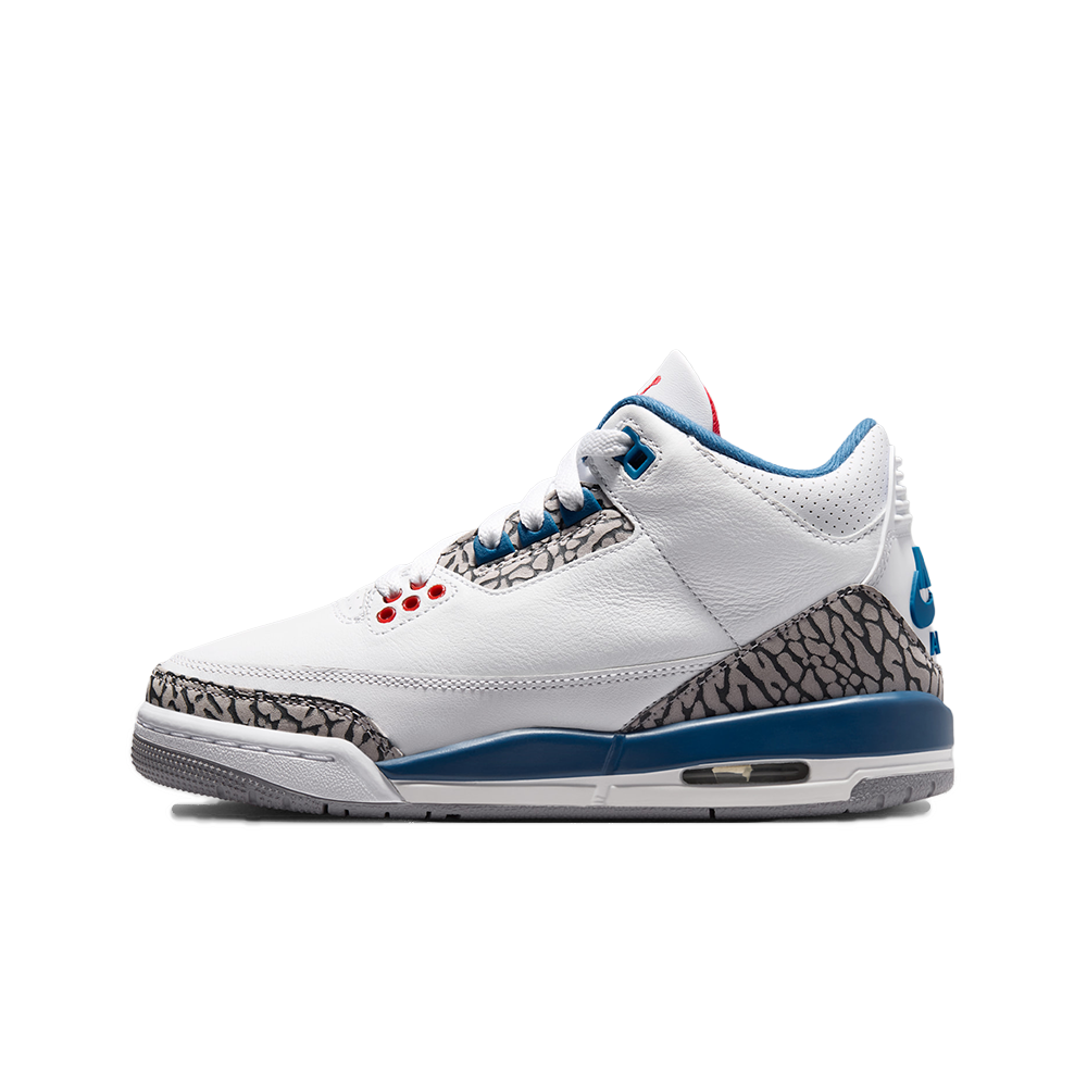 Air Jordan 3 Retro (GS)