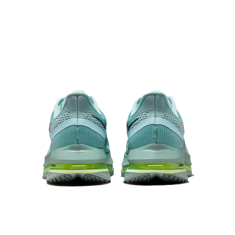 Nike Air Pegasus Premium